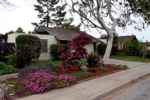 Sunnyvale Eichler - 2007